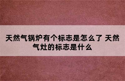 天然气锅炉有个标志是怎么了 天然气灶的标志是什么